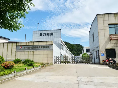紹興美力精密彈簧有限公司