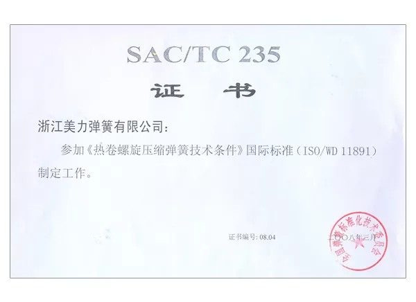 參加國際標準制定證書(shū)